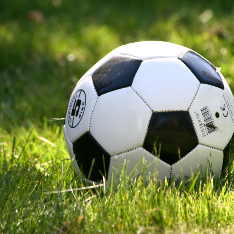 IN FORMA PER IL SUCCESSO